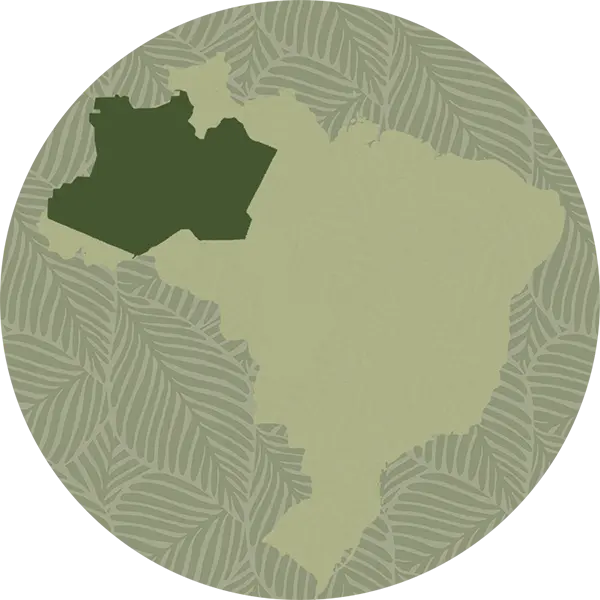 História e inspiração